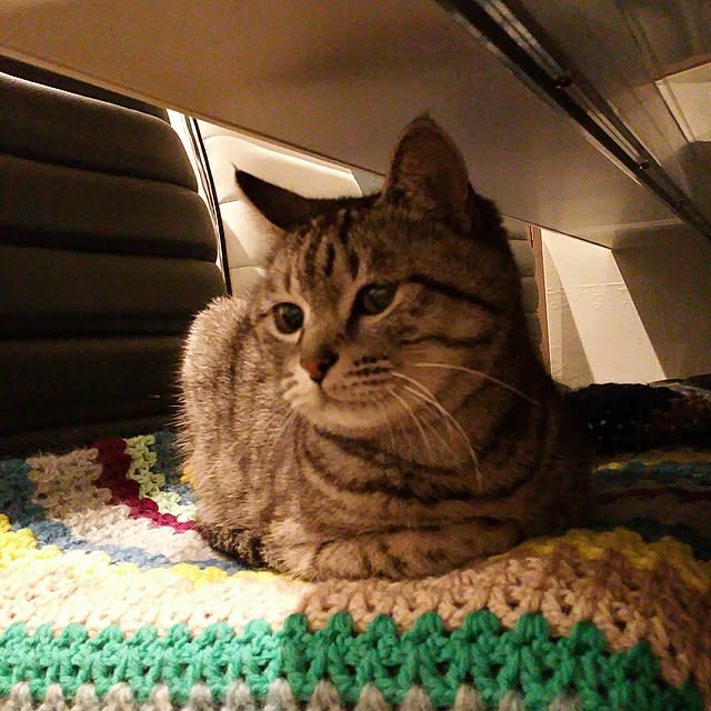 yumiさんの実例写真