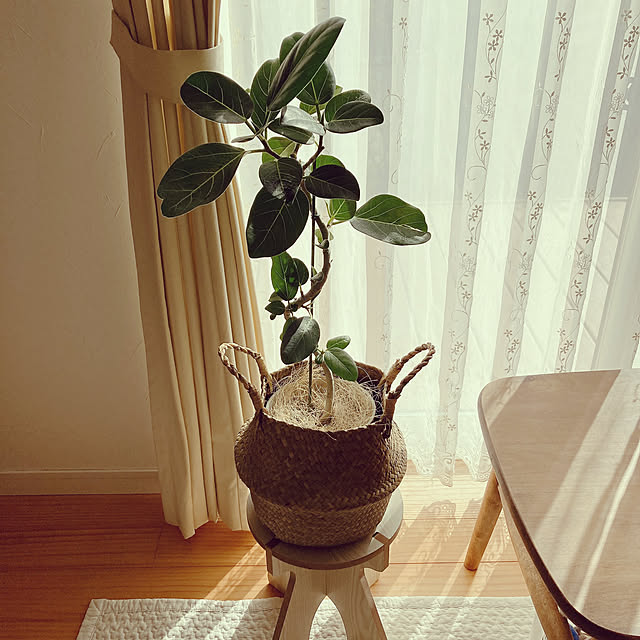 satomiさんの部屋
