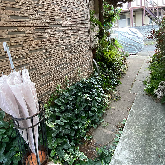 Lufuさんの実例写真