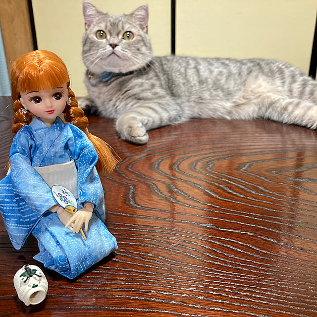 FUJICOさんの部屋