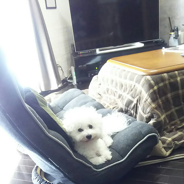 fuutaさんの実例写真