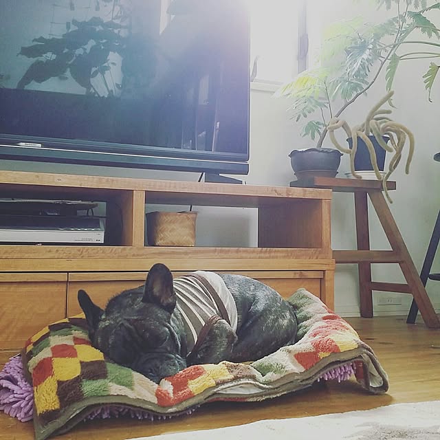kuuuuさんの実例写真