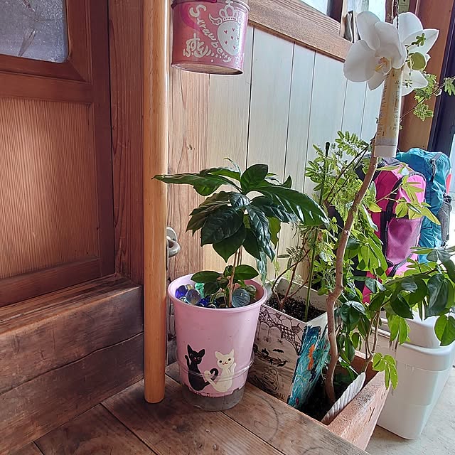 kikuさんの部屋
