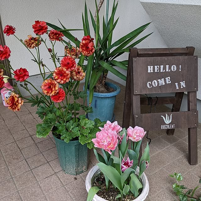 hiroさんの部屋