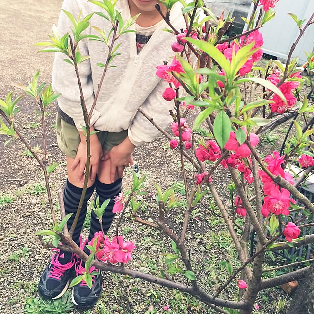 nathuさんの実例写真