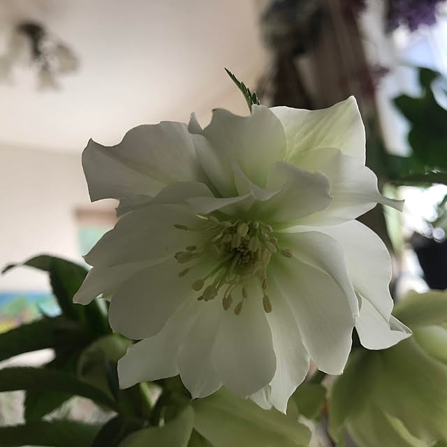 noinoi99さんの実例写真