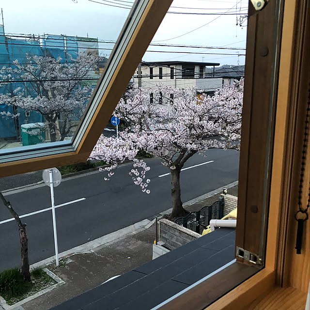 junomuさんの実例写真