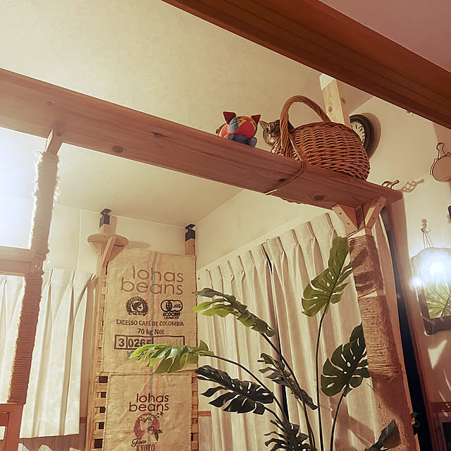 Mさんの部屋