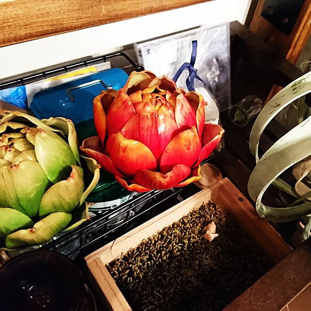 degumokoさんの実例写真