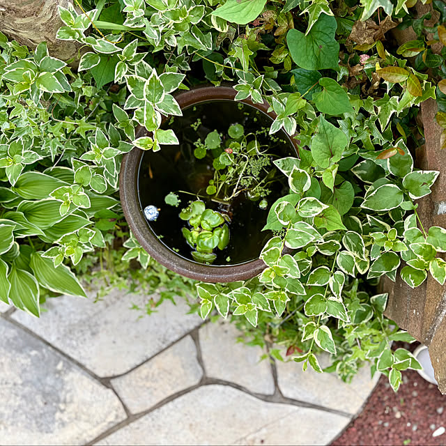 nana77さんの実例写真