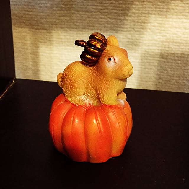 peacockさんの実例写真