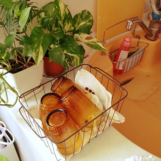 naoさんの実例写真