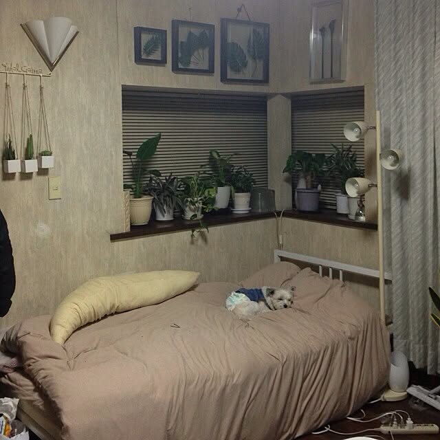 実例写真