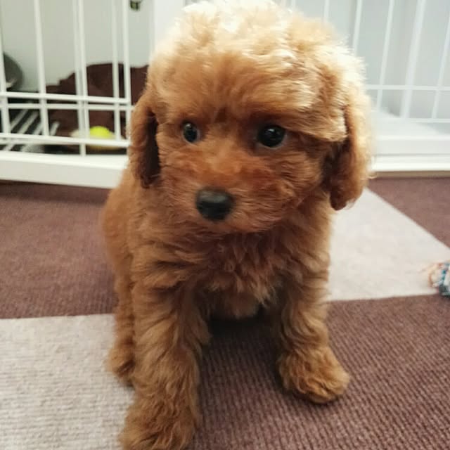 mieさんの実例写真