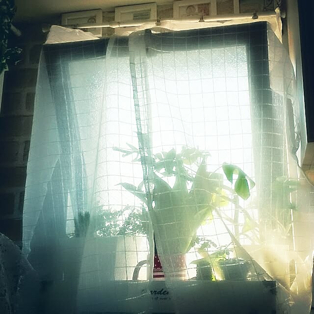OBTERNIR88filerさんの実例写真