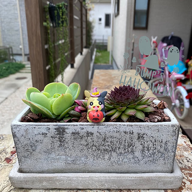 mugimoruさんの実例写真