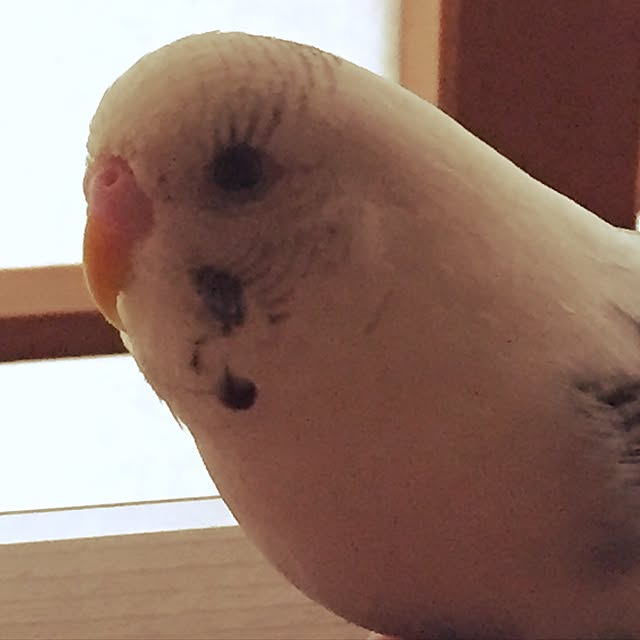 ryouyum126さんの実例写真