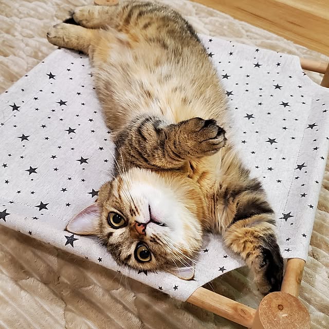 annyaさんの部屋