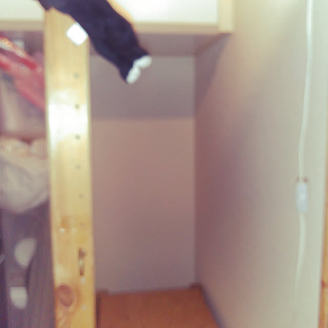 catloveさんの実例写真