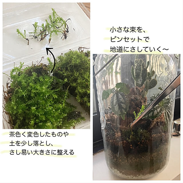 mako2yaさんの部屋