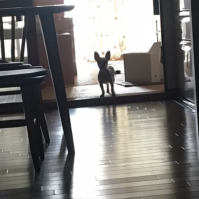 ohanaさんの実例写真