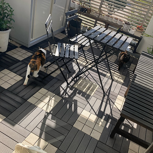 tomotomoさんの実例写真