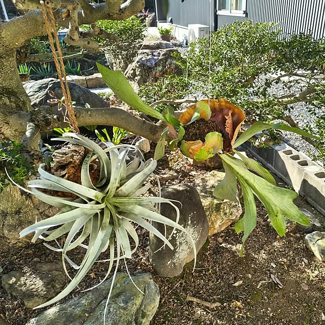 Rubiconさんの部屋