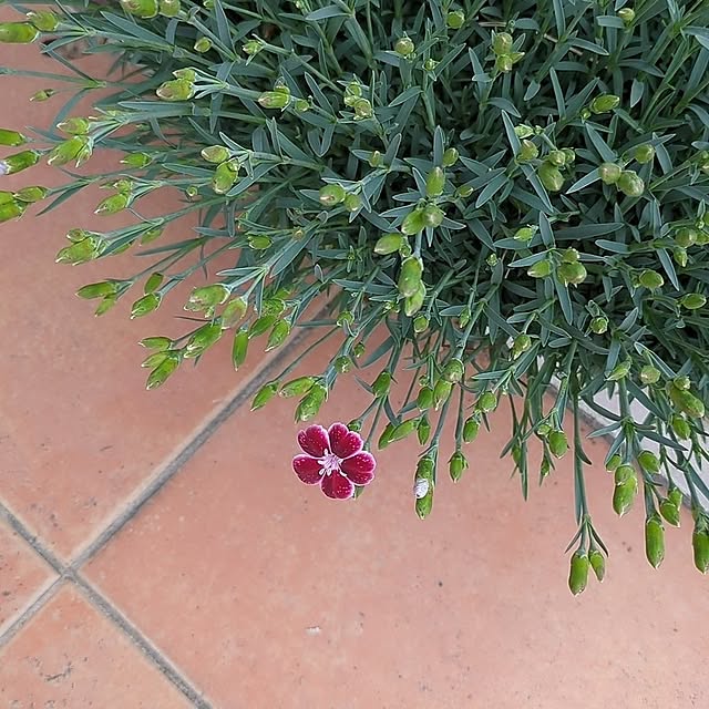 minnieさんの部屋