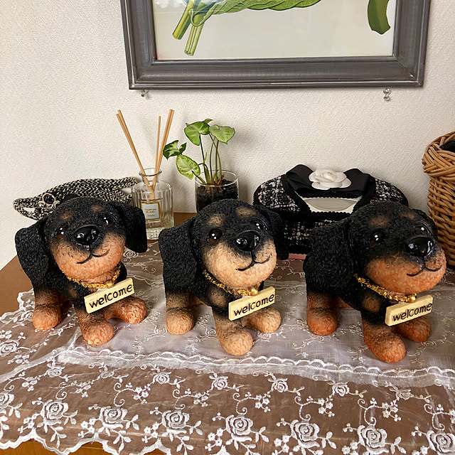 kanonさんの実例写真