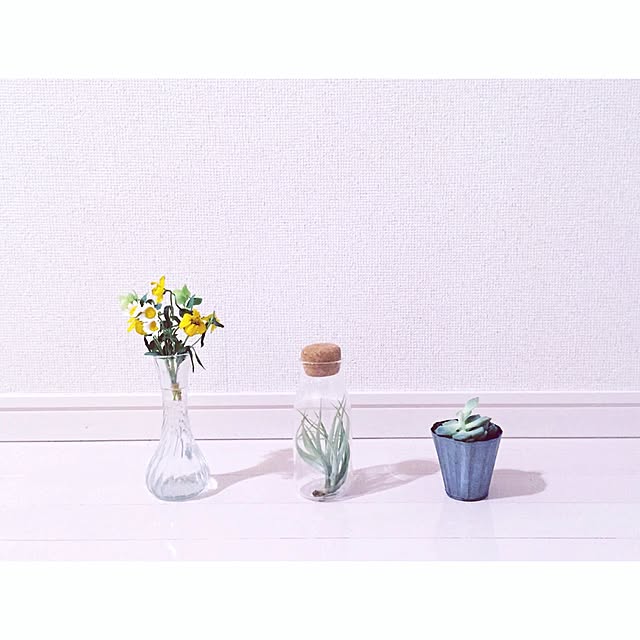 piiisukeさんの実例写真