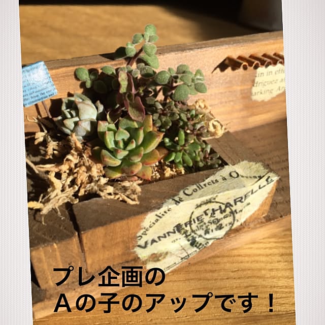 8717さんの実例写真