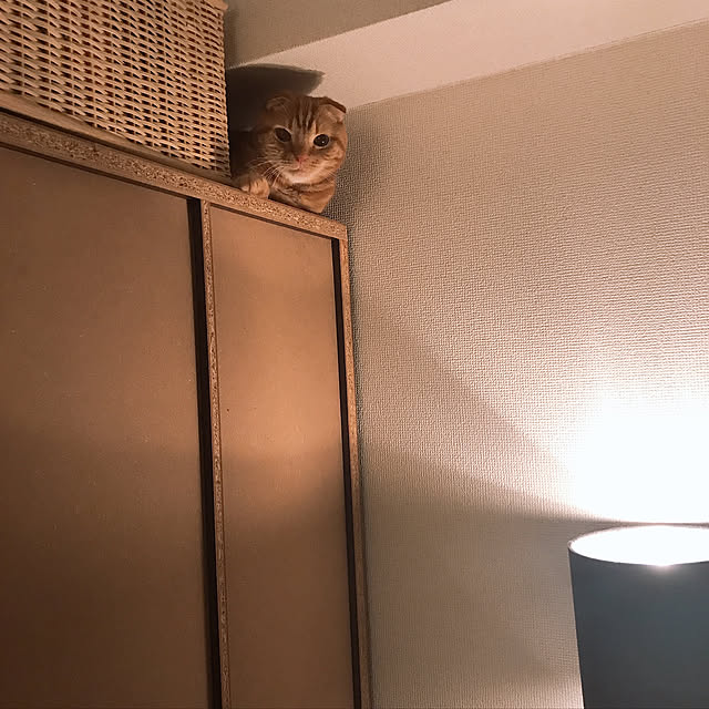 randebuさんの実例写真