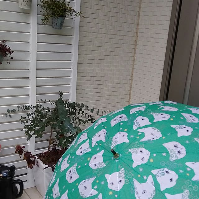 Gomaさんの実例写真