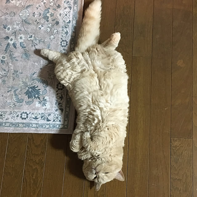 naokoさんの部屋
