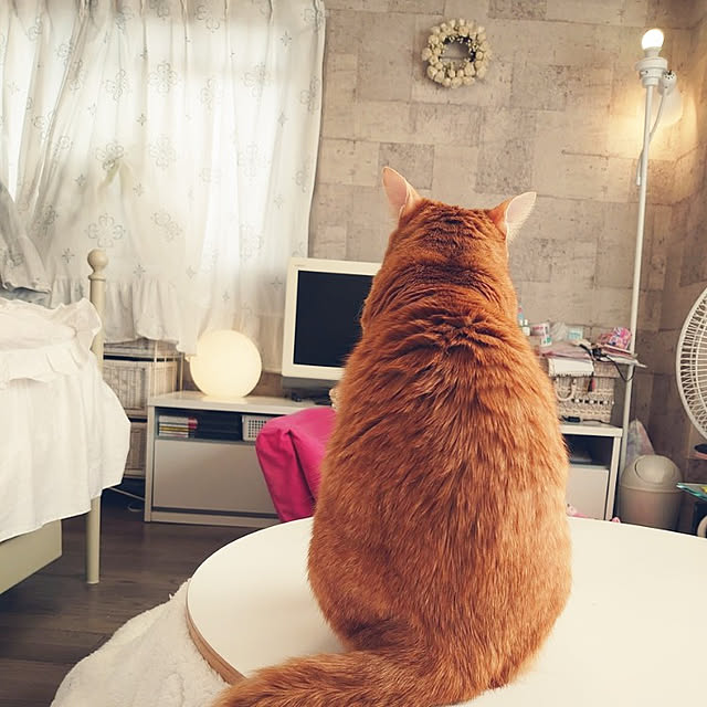 asuminさんの実例写真