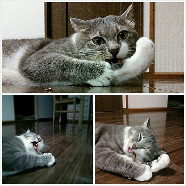lovepandaさんの実例写真