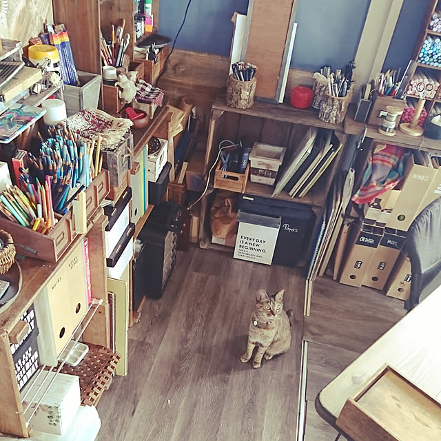Kazukiさんの実例写真