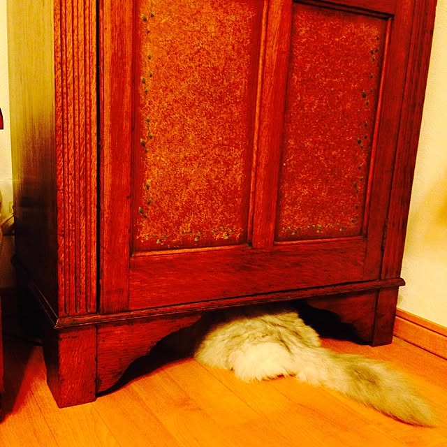 sakuさんの実例写真