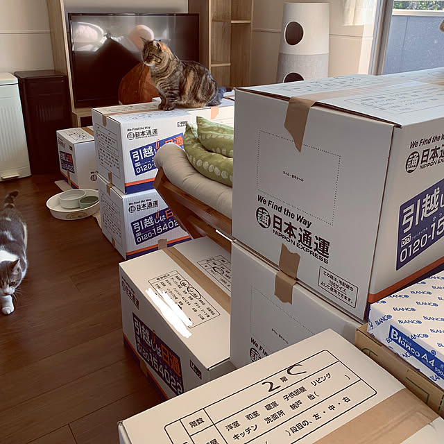 maaさんの実例写真