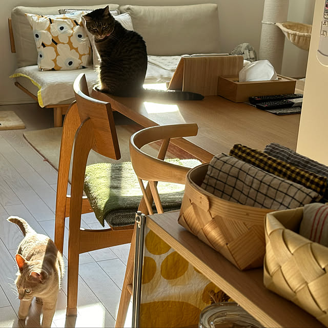 yococo_kurashiさんの実例写真