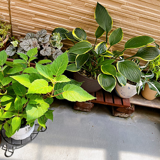 masumiさんの部屋