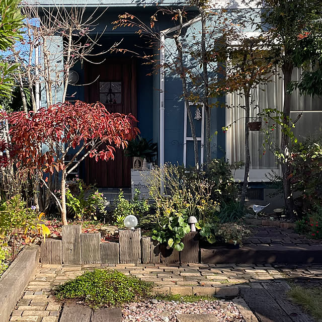 nobikoさんの部屋