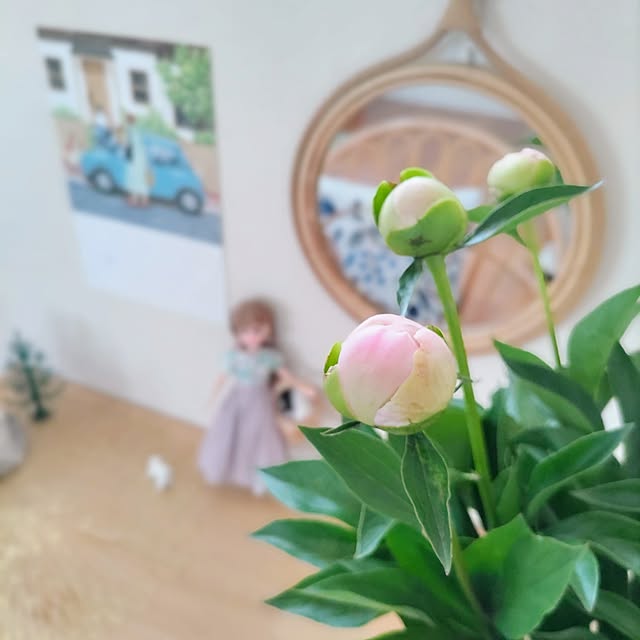 Haさんの部屋