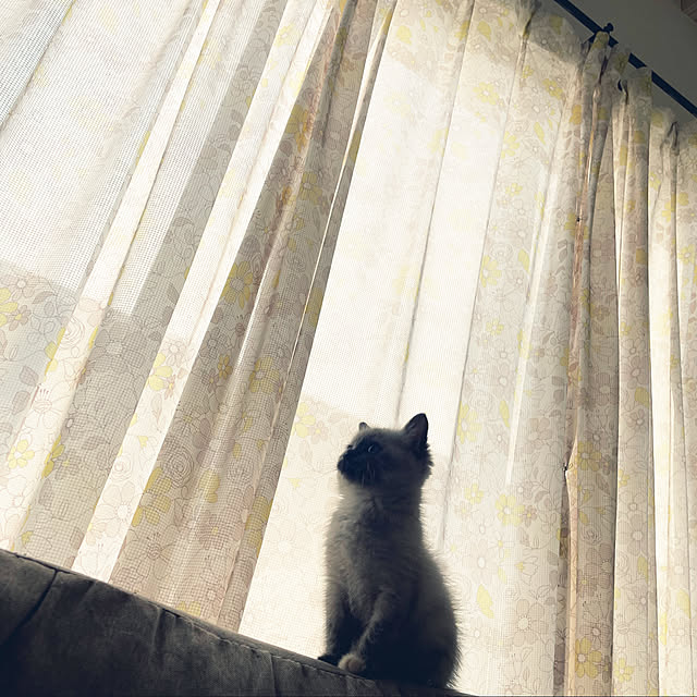 yu-iさんの実例写真