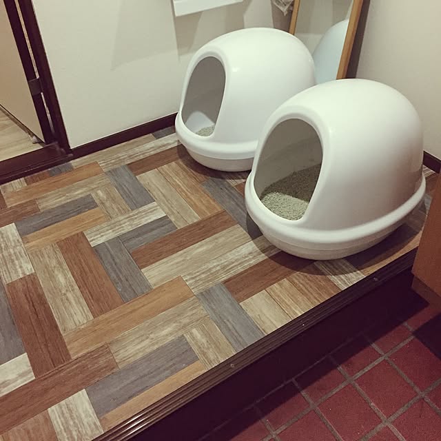 amutantanさんの実例写真
