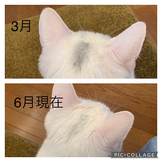keiさんの実例写真