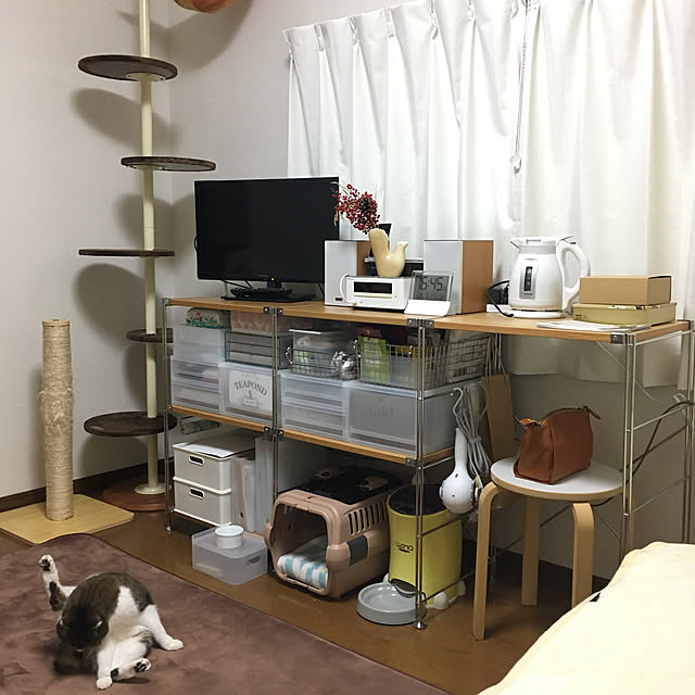 moonlightさんの実例写真