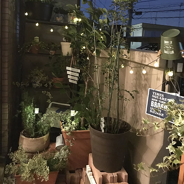 ange0919さんの実例写真