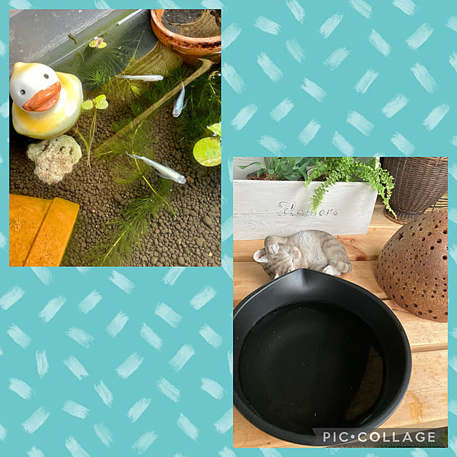 CoCo0617さんの実例写真