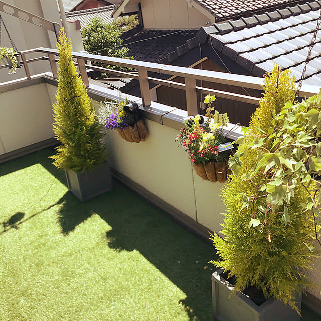 二世帯住宅/観葉植物のある暮らし/庭/ガーデン/バルコニー...などのインテリア実例 - 2020-06-15 08:18:41